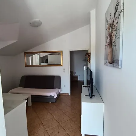 Apartment Roko